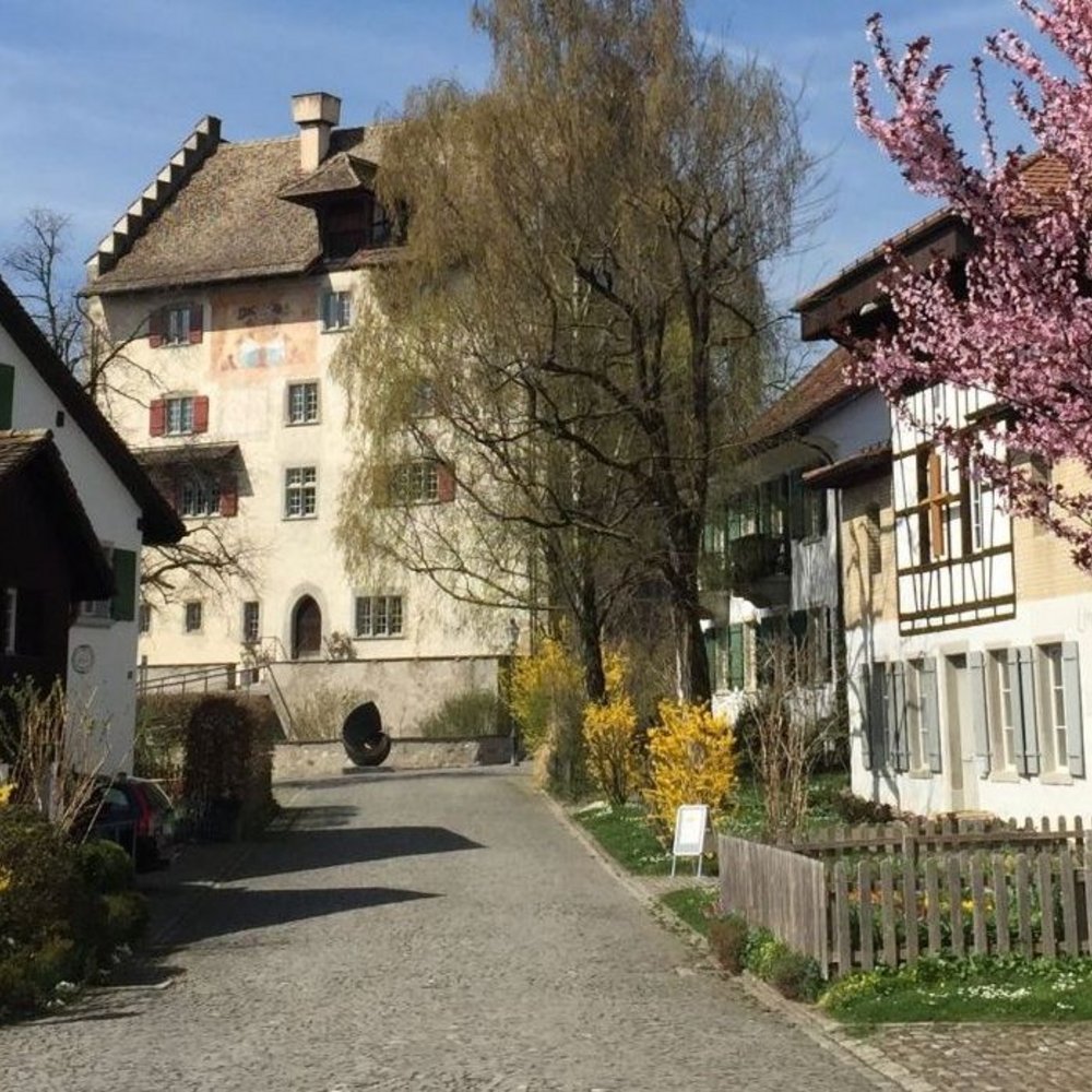 Municipality of Greifensee – Restructuring strategy