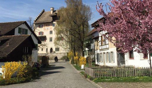 Municipality of Greifensee – Restructuring strategy